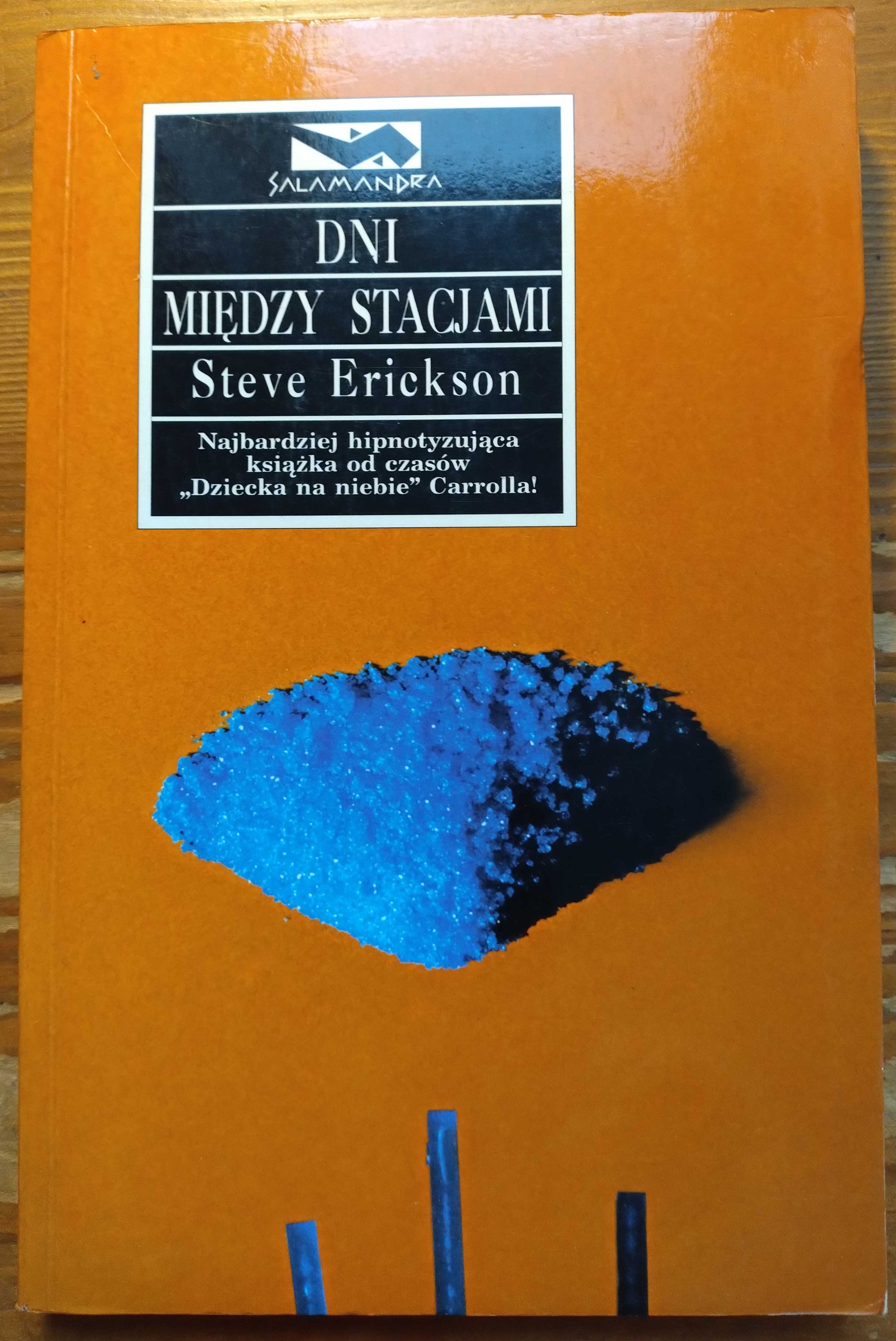 Dni między stacjami - Steve Erickson, seria Salamandra