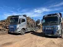 WYPRZEDAŻ! drewno opałowe wałki dąb kominkowe transport HDS