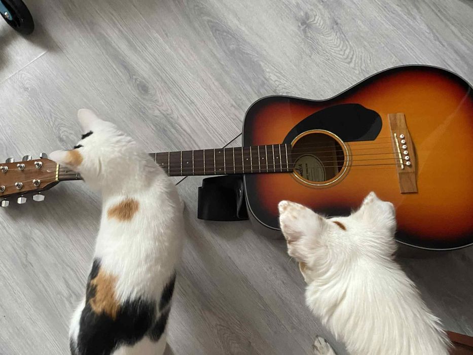 Gitara cc-60s fender