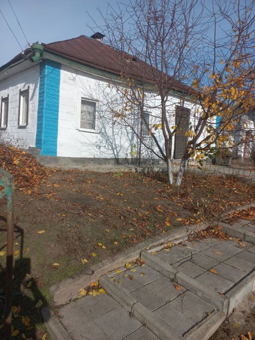 Продається будинок з великою тереторією, газом- с. Вознесенське