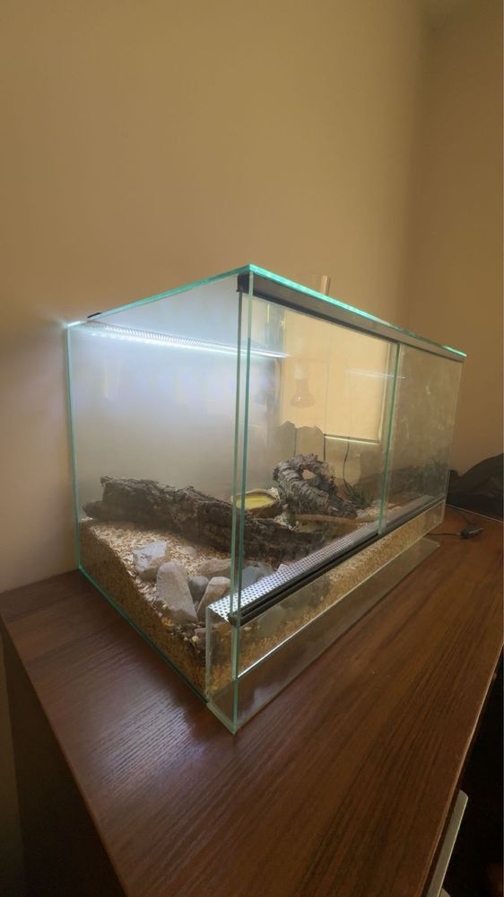 Sprzedam terarium z gekonami