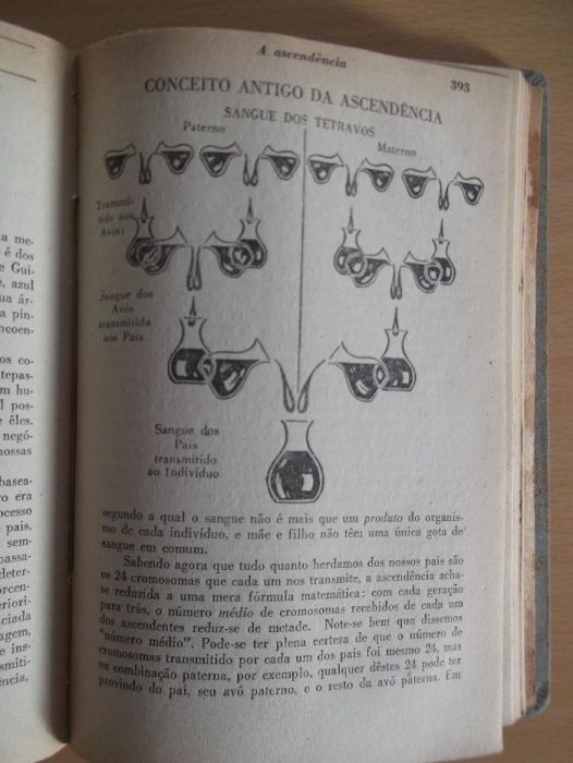 Você e a Hereditariedade do Amram Scheinfeld
