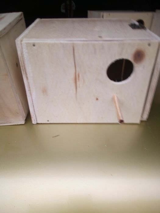 Budka   lęgowa papuga