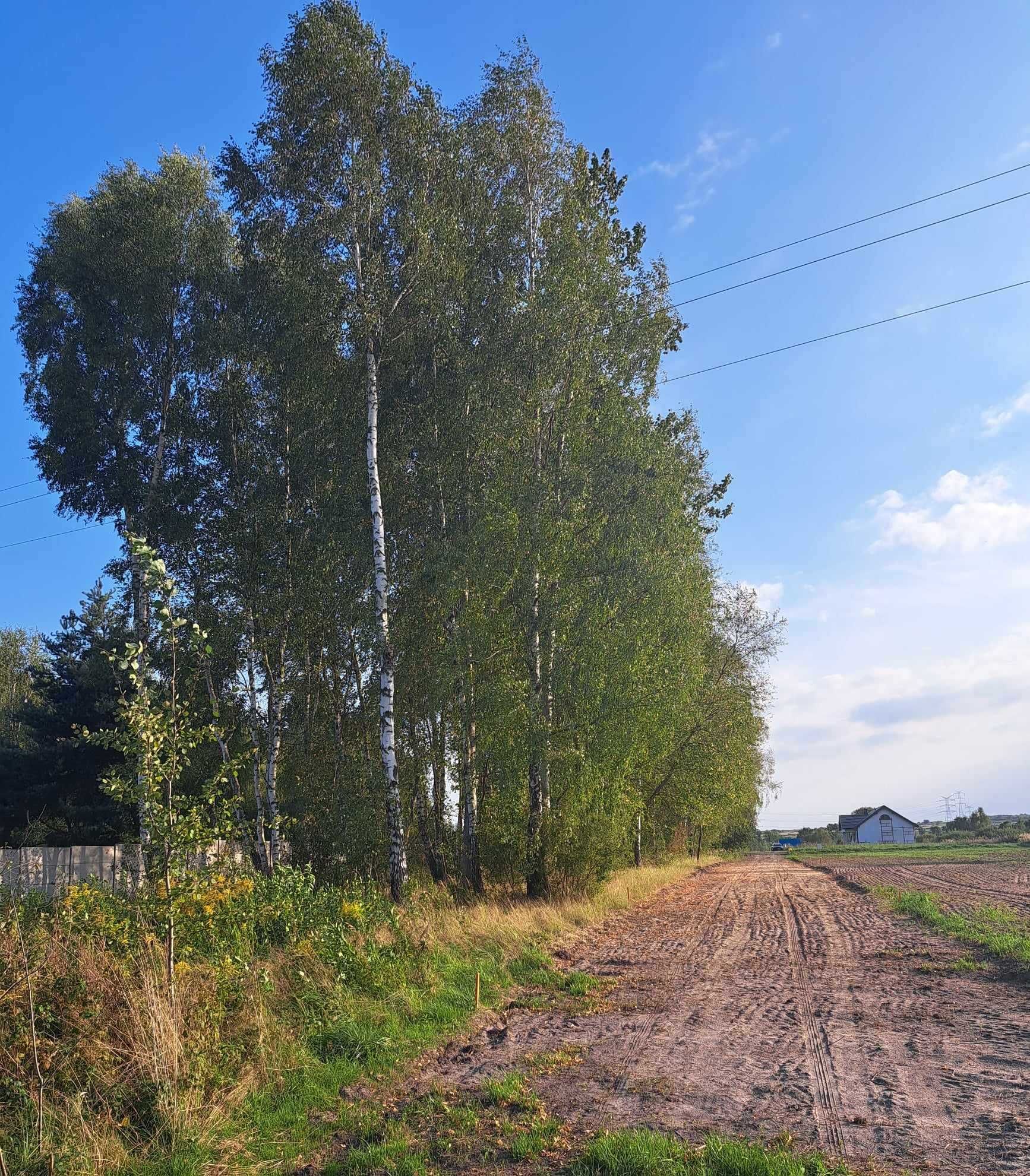 ***NOWA CENA*** Atrakcyjna działka w Myszkowie na sprzedaż 1077 m²
