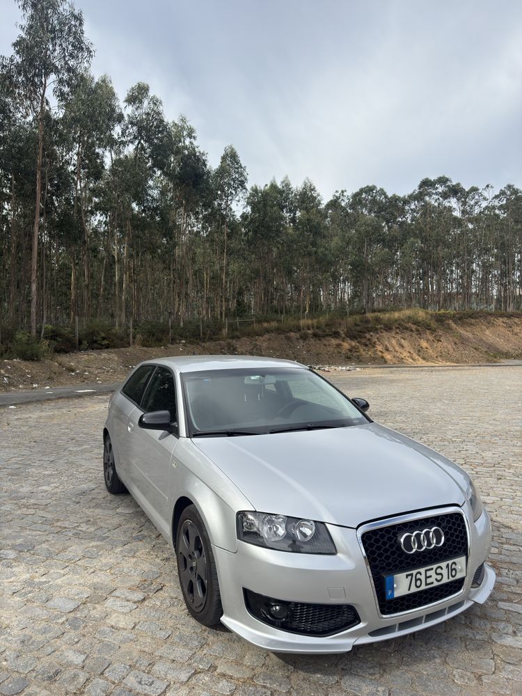Audi A3 8P 2.0 TDI