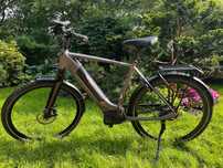 GAZELLE Performance Line C8 500Wh D53 pasek napędowy 2022