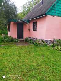 Продам дом село Кобижча, Бобровицкий район с проводным интернетом