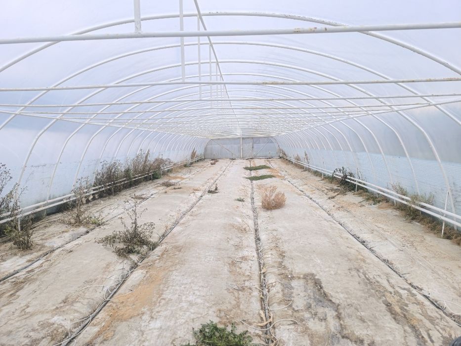 Tunel foliowy 30x7,5