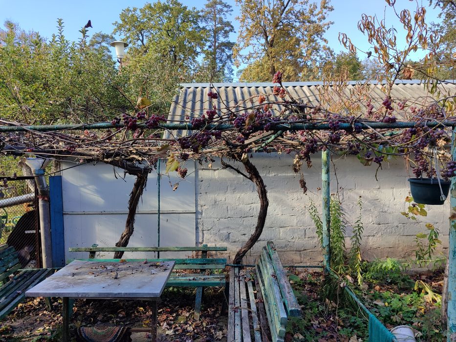 Продаж будинку в Ворзелі від хазяїна!