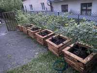 Виготовляю деревʼяні ящики контейнери для квітів лохини і дерев