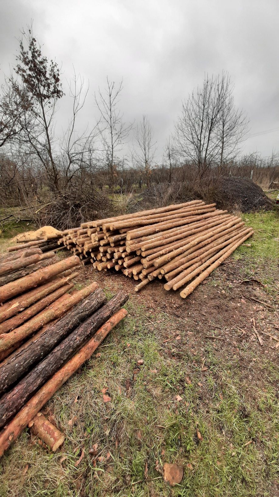 Stemple drewniane budowlane różne długości z transportem Nowe slupki