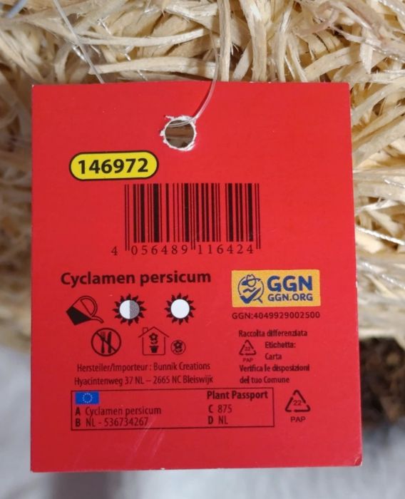 Renifer świąteczny z naturalnych materiałów – osłonka / doniczka