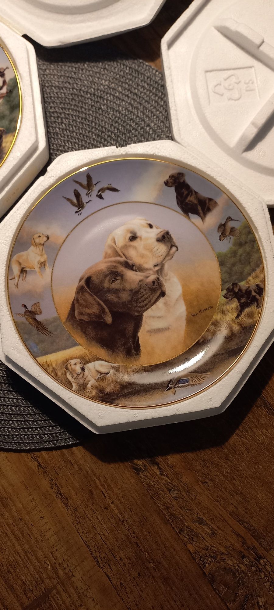 Talerz kolekcjonerski porcelana pies labrador labradory