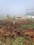 Terreno para Construção Ruivães