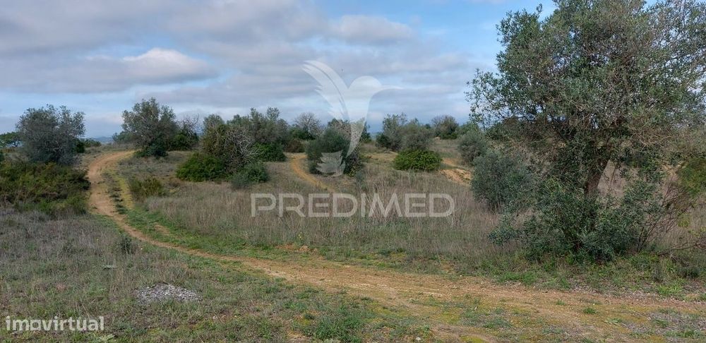 Terreno Rústico com 25.560 m2, conselho de Santarém.