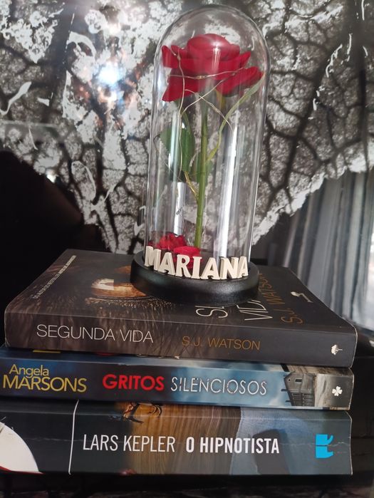 Dia da mãe Cúpula, redoma c/rosa e led's+ nome personalizado