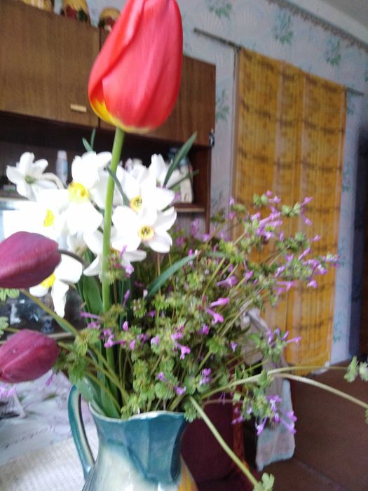 Дача та  земельна ділянка