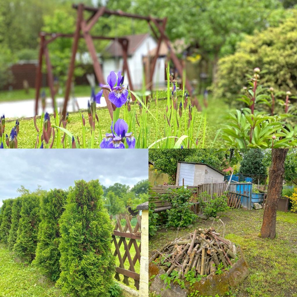 Ogródek rekreacyjny w Tułowicach