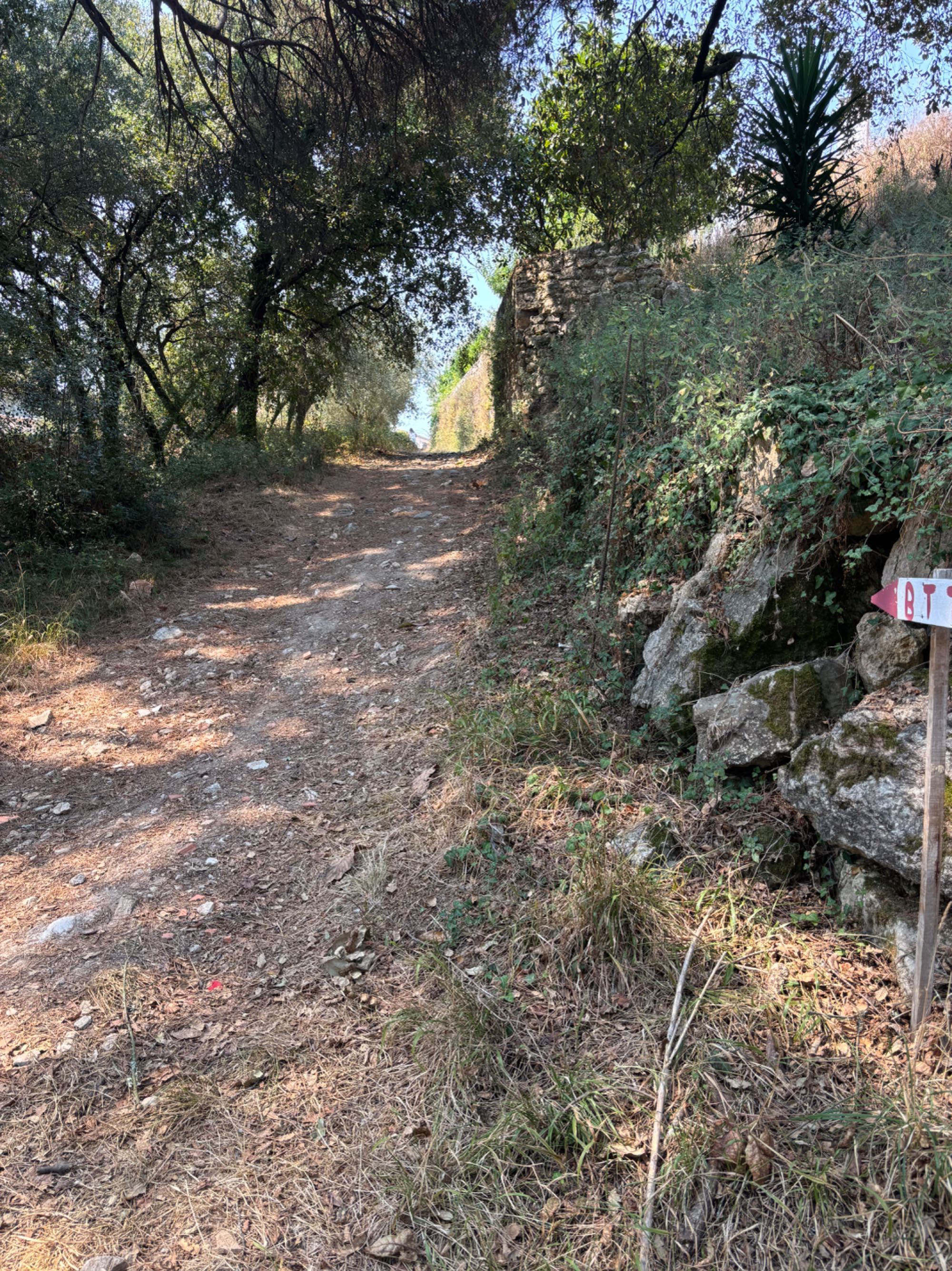 Vendo 2 Terrenos Rústicos 1800 m2 c/ poço em Opeia/Leiria
