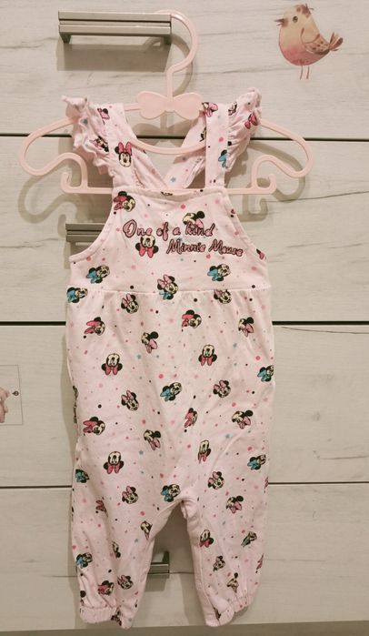 Ogrodniczki Disney Baby 74
