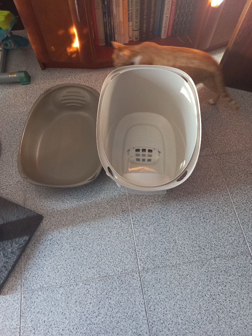 Arranhadores e wc para gato