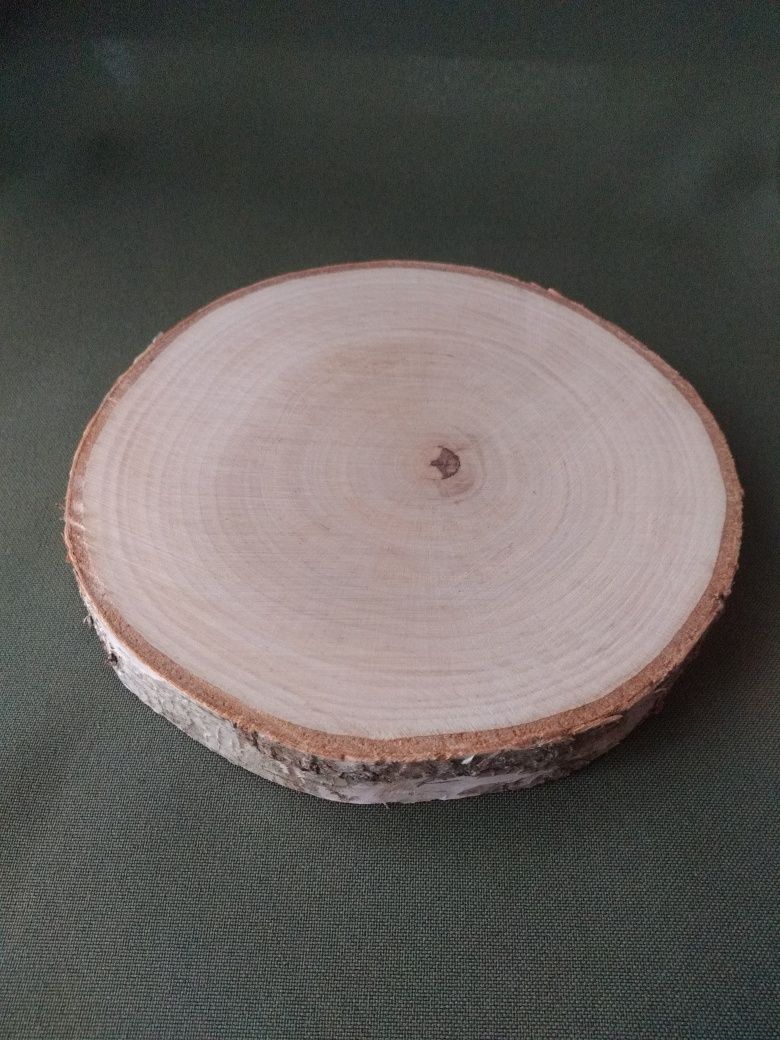 Plastry brzozowe, krążki drewna szlif śr ok 15 cm