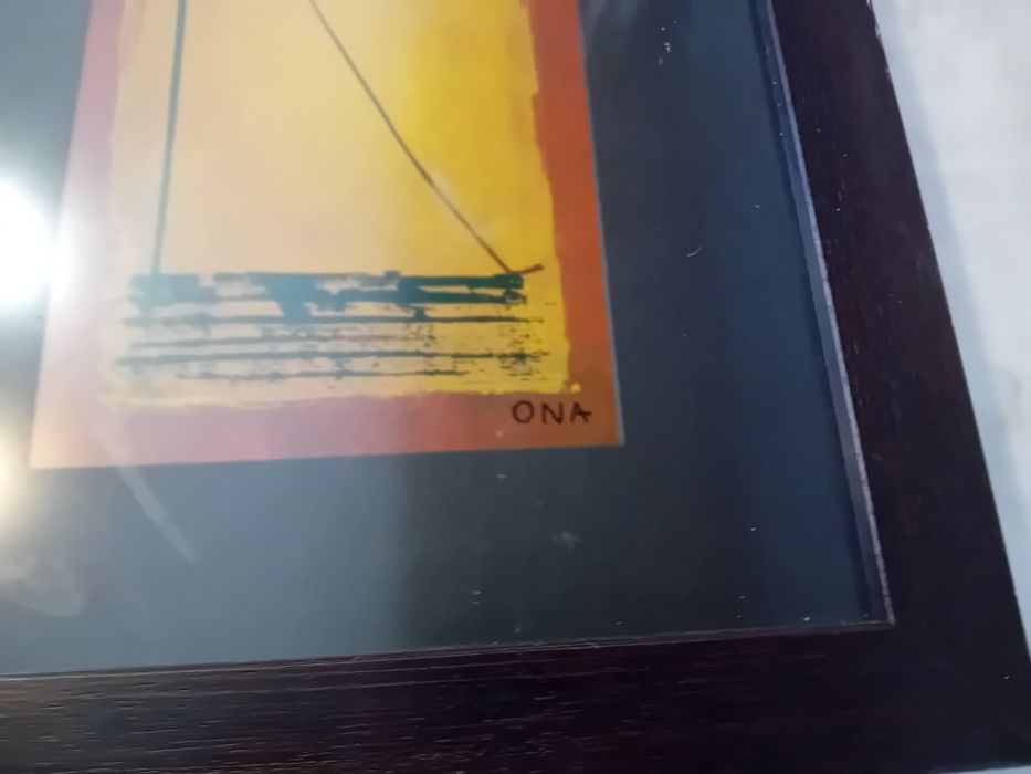 Quadro Decorativo Ona
