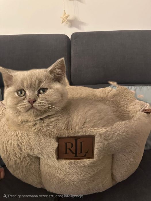 Ralph Lauren legowisko dla kota/psa jak nowe