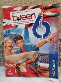 Tween 6 workbook + Fun Tween 6 + Frogwart