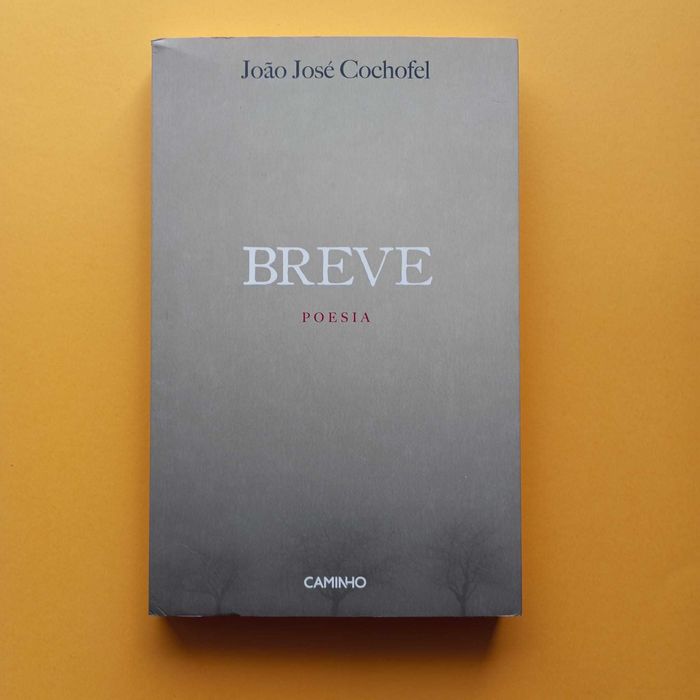 Breve Poesia - João José Cochofel - Editorial Caminho