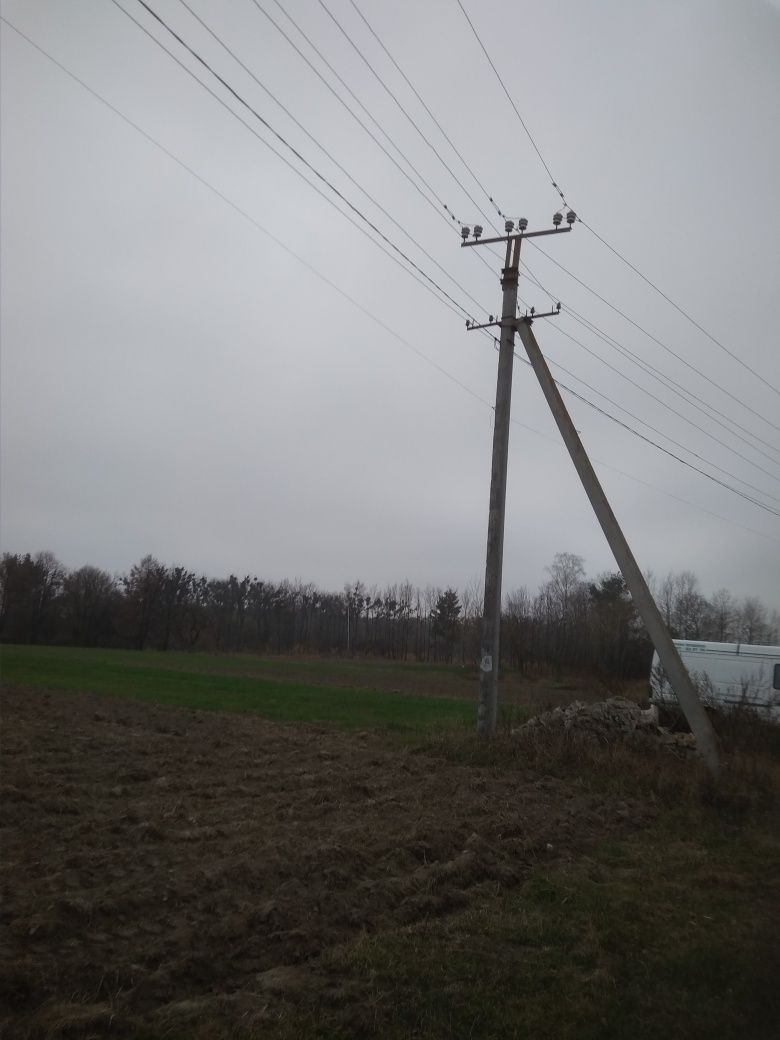 Земля 41 сота Крупець
