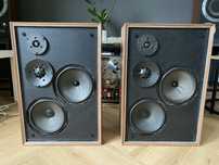 Kolumny Philips AH487