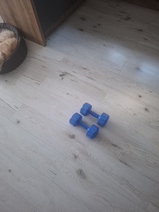 Hantle do ćwiczeń 2x 3kg zestaw