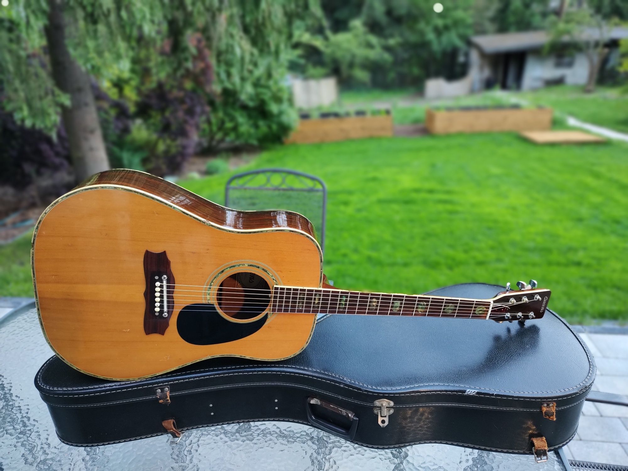 Queens WF 60 Korea UNIQUE gitara akustyczna vintage lata 70-te Śliczna