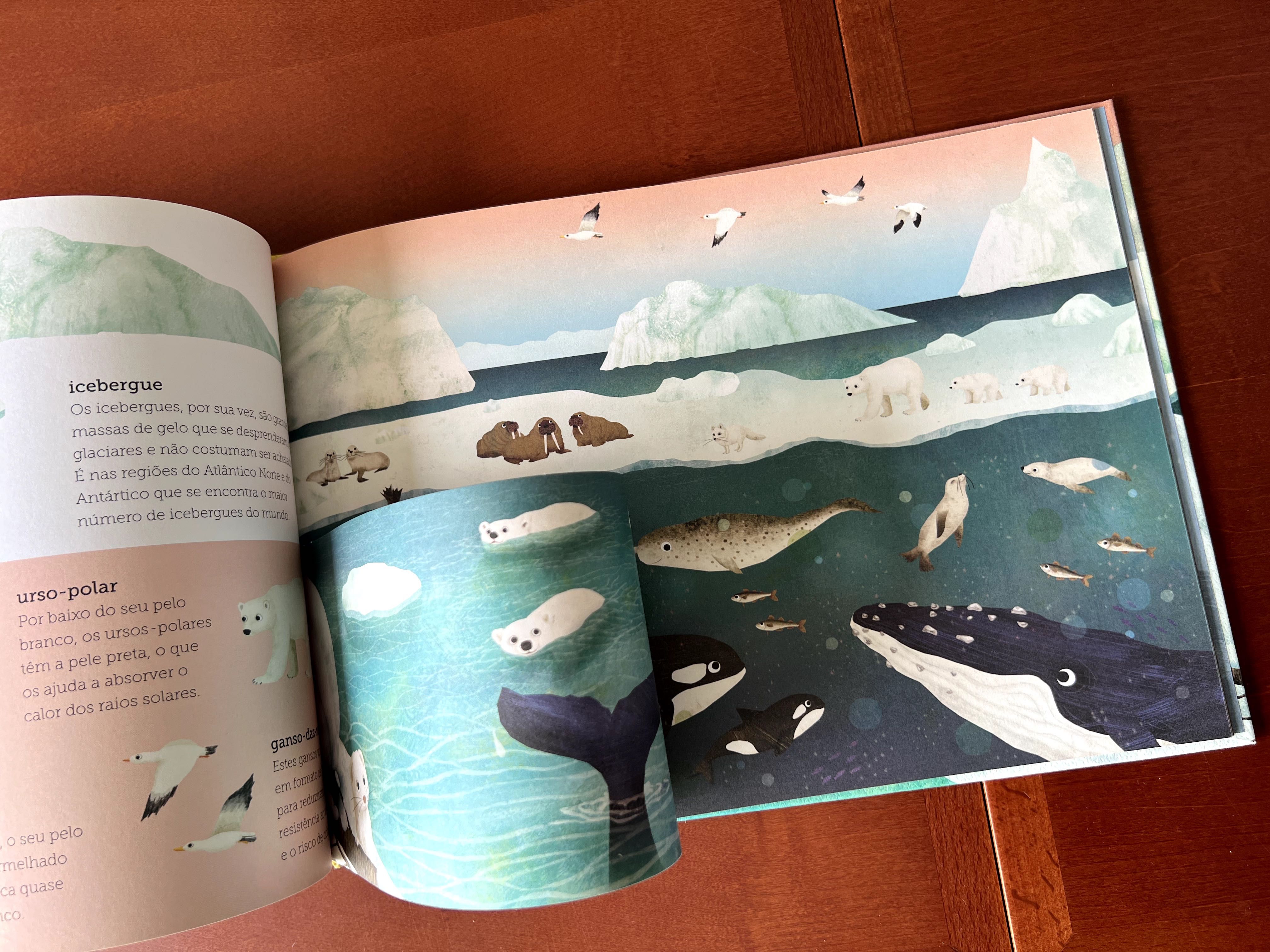 Livro Infantil "Em Cima e Em Baixo" - Como Novo