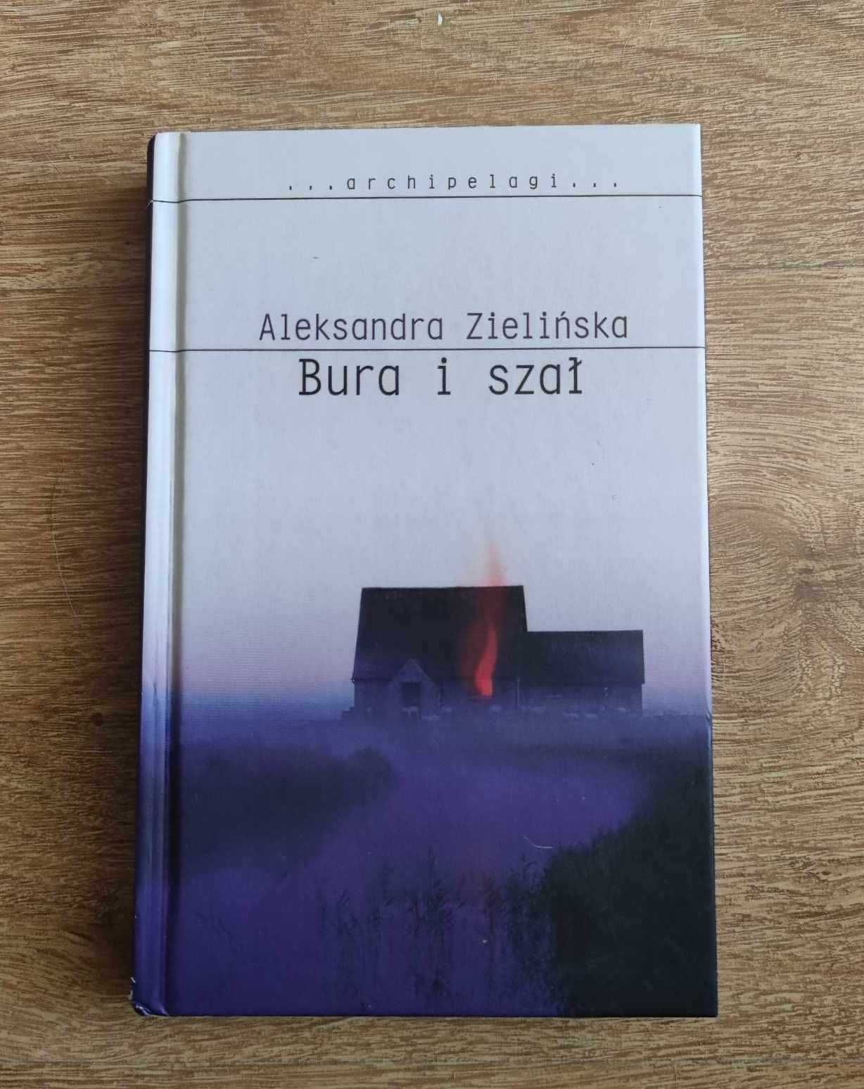 Bura i szał - Aleksandra Zielińska
