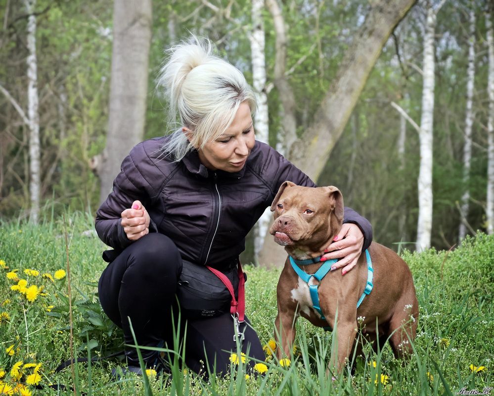 Nieśmiała Dolly w typie pitbulla szuka dobrego domu