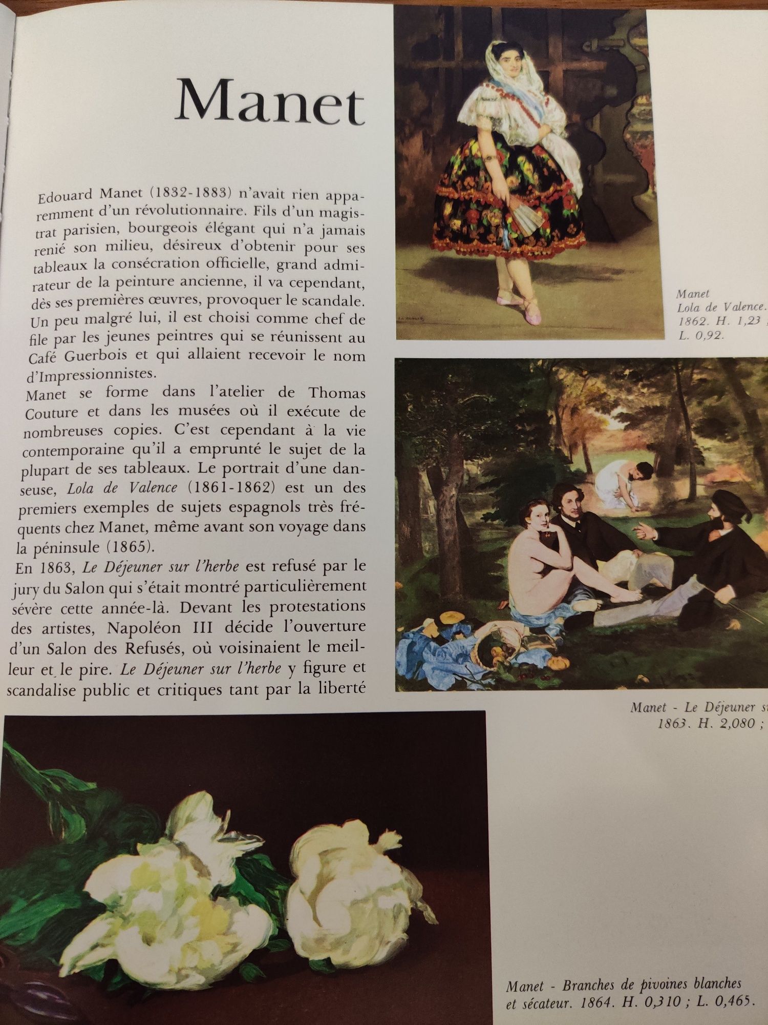 l'impressionnisme Michel Hoog 1977 - Biały Kruk