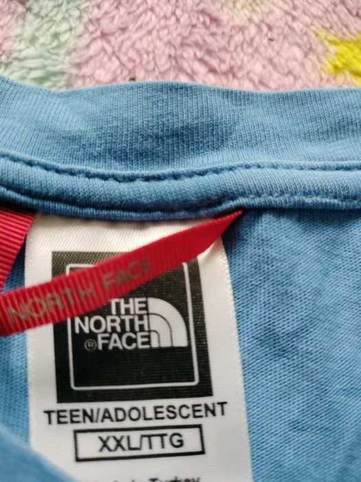 Bluzka męska sportowa The North Face