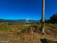 Terreno Florestal com Vista Panorâmica – Gondufe, Ponte de Lima