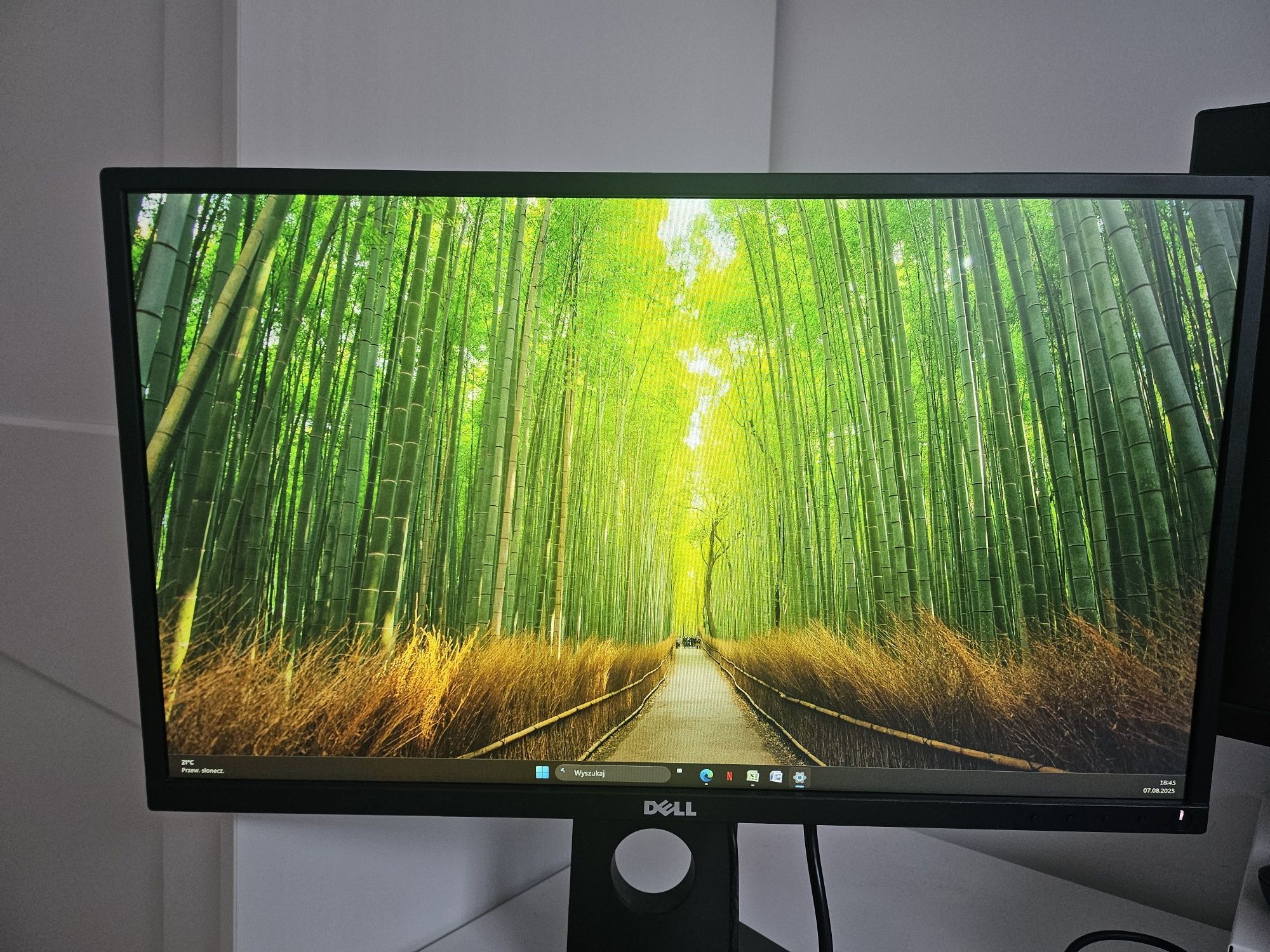 Monitor Dell P2417H 24"