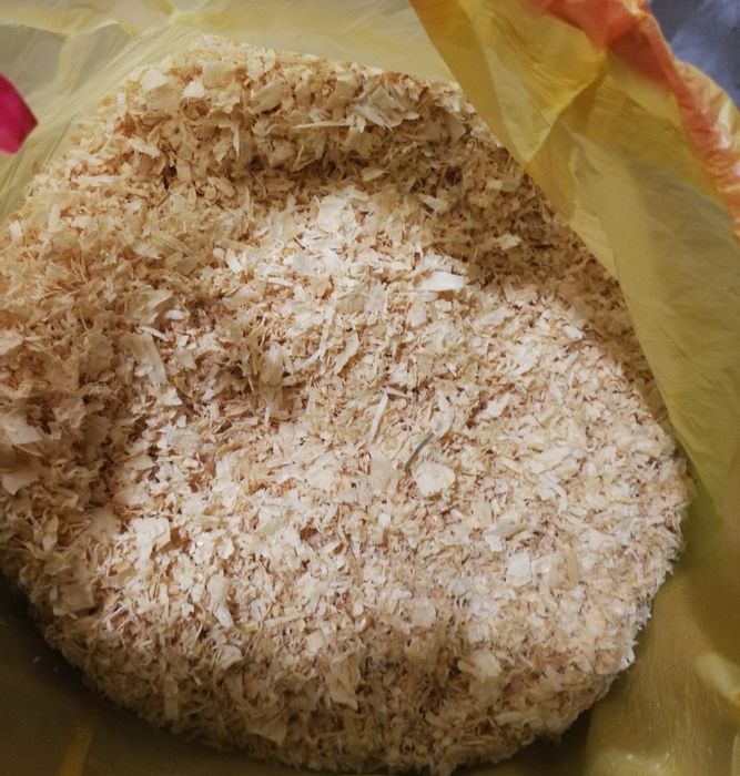 Trociny dla gryzonia