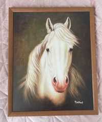 Obraz w ramie biały koń 40x50