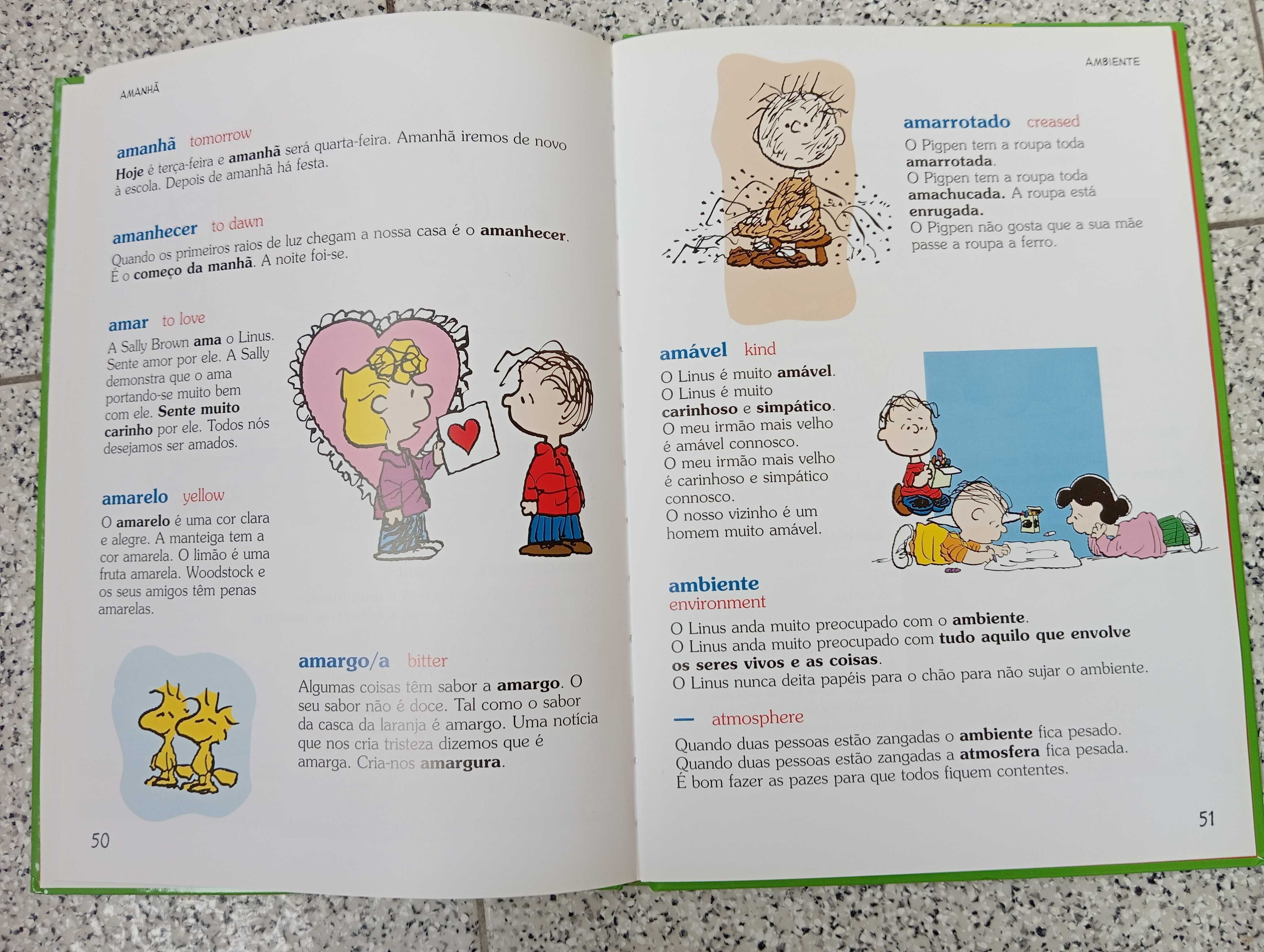 Livro O Dicionário do Charlie Brown