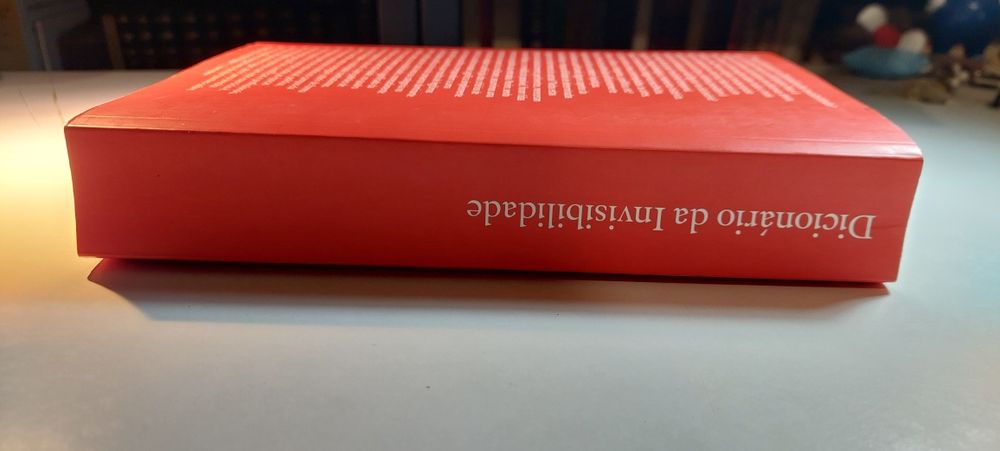 Dicionário da Invisibilidade, SOS Racismo