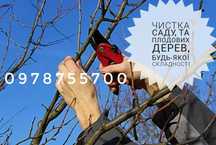 Чистка саду та плодових дерев ,формування дерев -чистка винограду .
