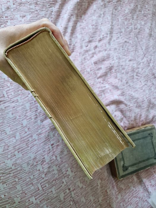 Conjunto de 2 Bíblias: Holy Bible e Bíblia Sagrada