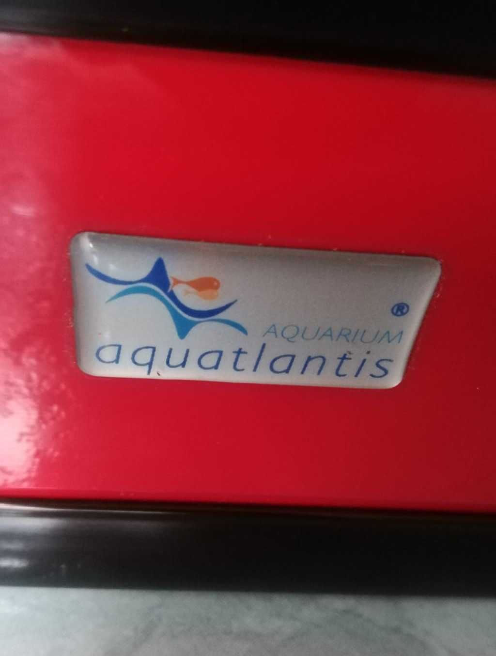 Aquário de Parede da Aquatlantis