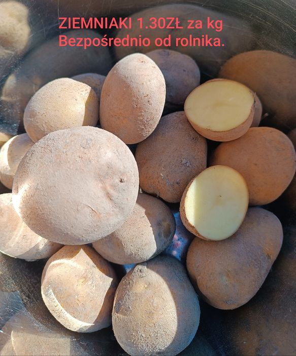 !! Okazja 1.30zł za kg !! Ziemniaki jadalne  kartofle od rolnika