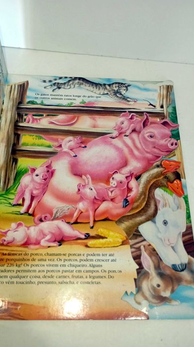 Animais da Quinta - Na Ponta dos Dedos